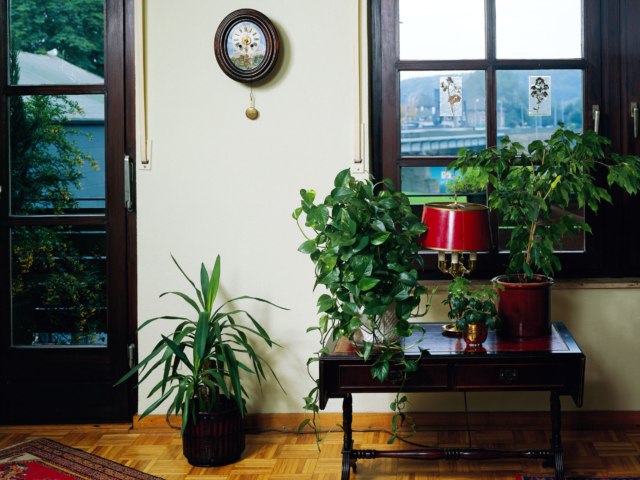 Dom na sprzedaz Jablonna Wziachowo_Male