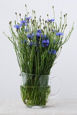 Dom na sprzedaz Swiatniki_Gorne_(gw) Ostrow