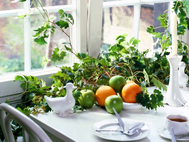 Dom na wynajem Bydgoszcz 