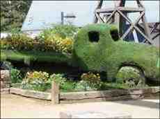 DziaLka na sprzedaz Biale_Blota Okole