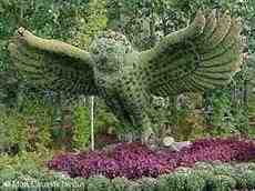 DziaLka na sprzedaz Biale_Blota Okole