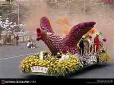 DziaLka na sprzedaz Biale_Blota Okole