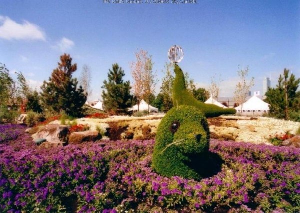 DziaLka na sprzedaz Blonie_(gw) Zabice