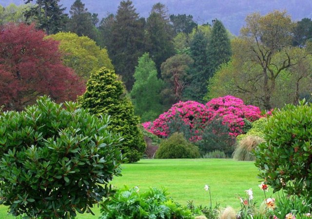 DziaLka na sprzedaz Bochnia_(gw) Niemstow