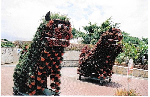 DziaLka na sprzedaz Czosnow Haldrychowice