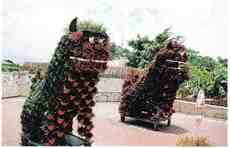 DziaLka na sprzedaz Dobrcz 