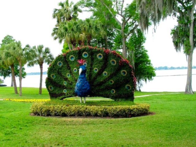 DziaLka na sprzedaz Halinow_(gw) Mekarzowice