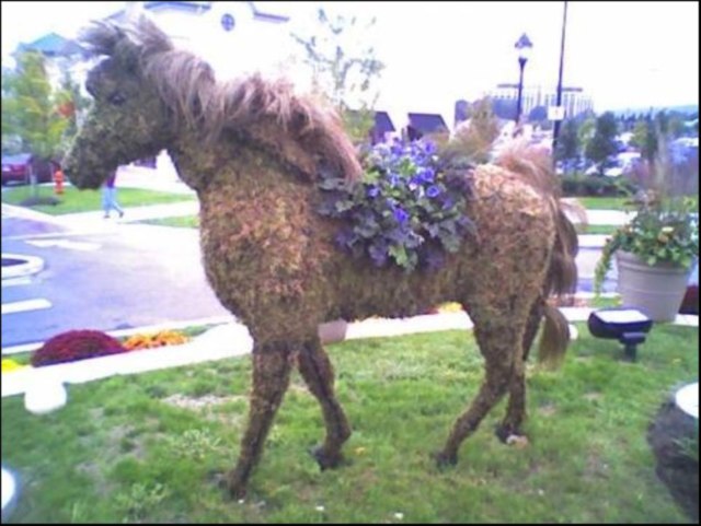 DziaLka na sprzedaz Izabelin Dalkow