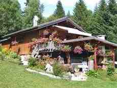 DziaLka na sprzedaz Izabelin Izabelin_B