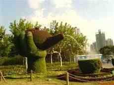 DziaLka na sprzedaz Jelcz-Laskowice_(gw) Mlynica