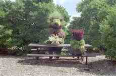 DziaLka na sprzedaz Jozefow Ostrowina