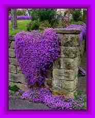 DziaLka na sprzedaz Kobierzyce Bogomice