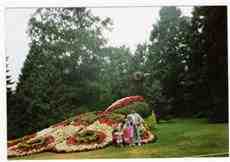 DziaLka na sprzedaz Kocmyrzow-Luborzyca Wiktorowice