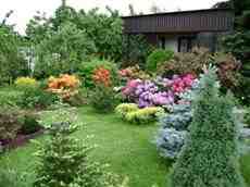 DziaLka na sprzedaz Krakow Gruszeczka