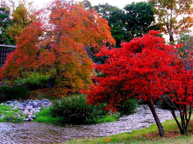 DziaLka na sprzedaz Krakow Gruszeczka