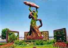 DziaLka na sprzedaz Krakow Gruszeczka