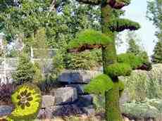 DziaLka na sprzedaz Krakow Krowodrza