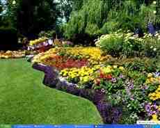 DziaLka na sprzedaz Krakow Swoszowice