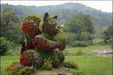 DziaLka na sprzedaz Krakow Zwierzyniec