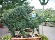 DziaLka na sprzedaz Krakow Zwierzyniec