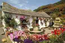 DziaLka na sprzedaz Lubartow Leszczyniec