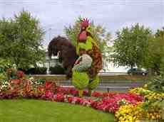 DziaLka na sprzedaz Miedzyrzecz Darnkow