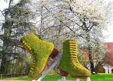 DziaLka na sprzedaz Miekinia Nowa_Wies_Niemczanska