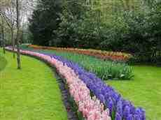 DziaLka na sprzedaz Miekinia Nowa_Wies_Niemczanska