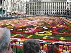 DziaLka na sprzedaz Miekinia Nowa_Wies_Niemczanska