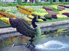 DziaLka na sprzedaz Miekinia Nowa_Wies_Niemczanska