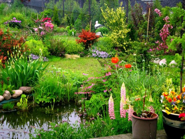 DziaLka na sprzedaz Mogilany Krzyzowa