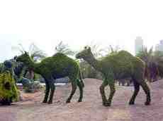 DziaLka na sprzedaz Mszana_Dolna_(gw) Kasina_Wielka