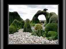 DziaLka na sprzedaz Mszczonow_(gw) Karpie