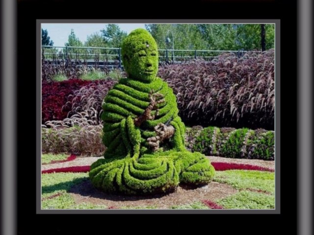 DziaLka na sprzedaz Mszczonow_(gw) Karpie