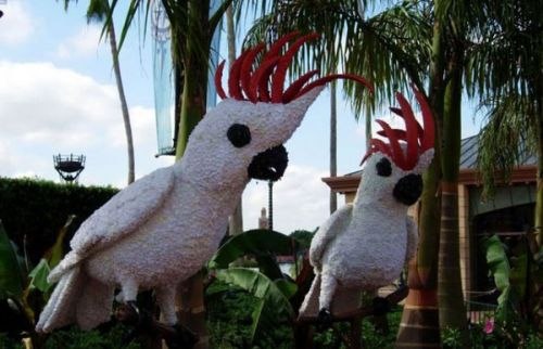 DziaLka na sprzedaz Niepolomice_(gw) Gogolowice