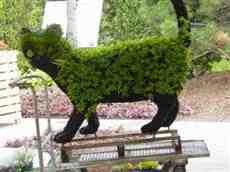 DziaLka na sprzedaz Olesnica_(gw) Tuszyn