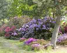 DziaLka na sprzedaz Osielsko Wyzyny