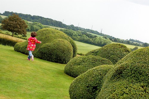 DziaLka na sprzedaz Ozarow_Mazowiecki_(gw) Klobuczyn