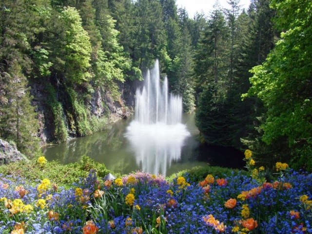 DziaLka na sprzedaz Piaseczno_(gw) Zimnica