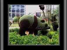 DziaLka na sprzedaz Piaseczno 