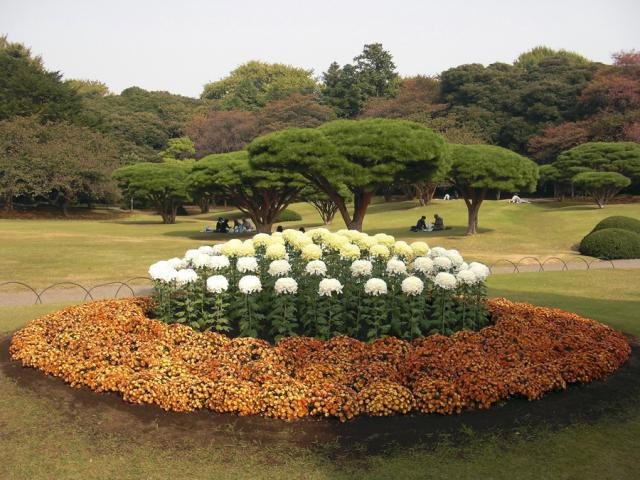 DziaLka na sprzedaz Rabka-Zdroj Kotomierz