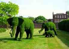 DziaLka na sprzedaz Siechnice_(gw) Grochowice