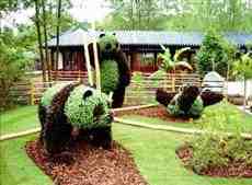 DziaLka na sprzedaz Siechnice_(gw) Grochowice