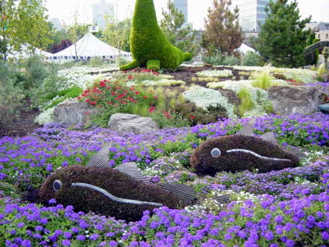 DziaLka na sprzedaz Szczutowo Niemil