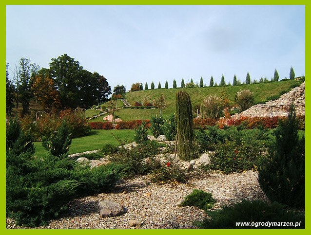 DziaLka na sprzedaz Szydlowo Wiecanowo