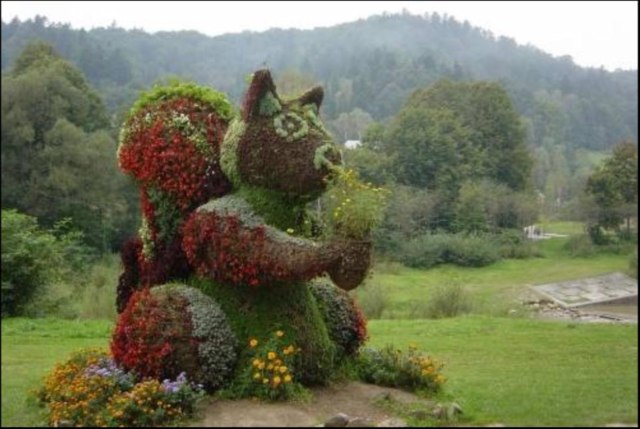 DziaLka na sprzedaz Warszawa Marcinkowice