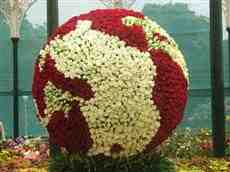 DziaLka na sprzedaz Warszawa Marcinkowice