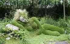 DziaLka na sprzedaz Warszawa Trzmielow