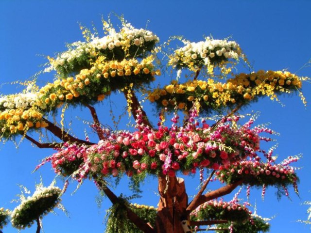 DziaLka na sprzedaz Warszawa Trzmielow