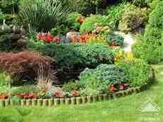 DziaLka na sprzedaz Warszawa Trzmielow